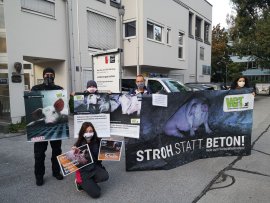 Demo Salzburg