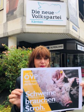 Demo Klagenfurt