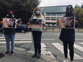 Demo Bregenz