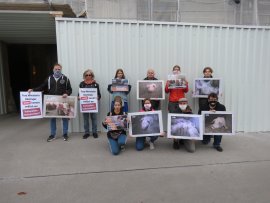 Demonstration