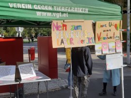 Protestwoche 2