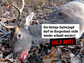 Abschussliste