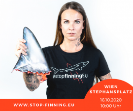 Stop Finning Sujetfoto