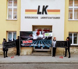 Mahnwache in Eisenstadt