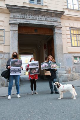 Mahnwache in Graz