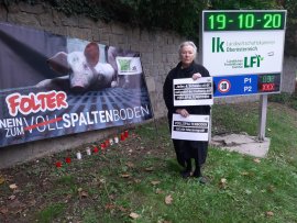 Mahnwache in Linz