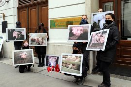 Mahnwache in Wien