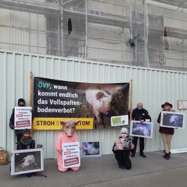 Kundgebung vor Bundeskanzleramt