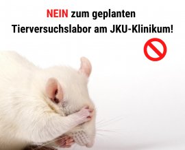 Sujetbild Tierversuche