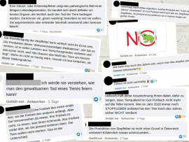 Screenshots Shitstorm