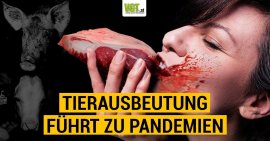 Sujetbild