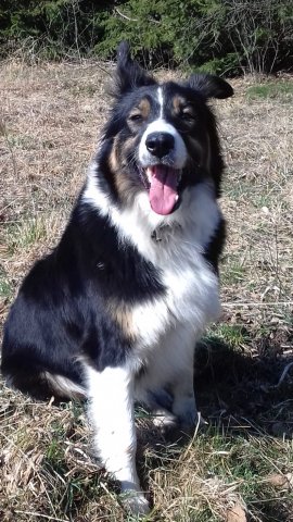 Kira 1