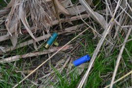 Leere Patronenhülsen in der Wiese