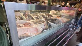 Fische