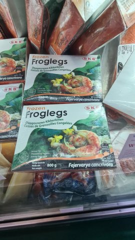 Froschschenkel