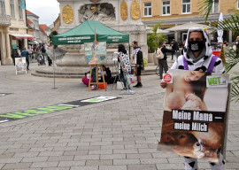 Infostand