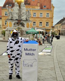 Infostand