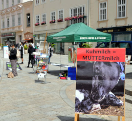 Infostand