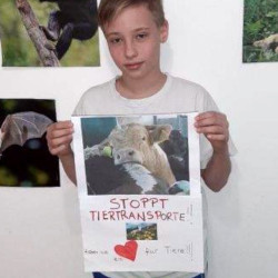 Andreas