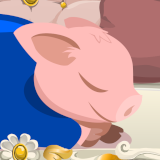 Valentinsaktion – Schweinerei auf der Mariahilfer Straße