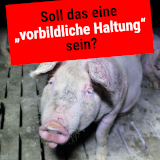 Parlament beschließt Kennzeichnung Herkunft von Tierprodukten aber nicht Haltung