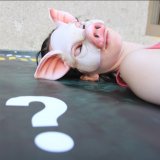 Die-In vor dem Landwirtschaftsministerium