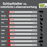 Schlachtalter vs. natürliche Lebenserwartung