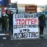 Online-Aktion des VGT zur Ursache der meisten Pandemien: die Tierindustrie!
