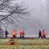 Erneut Fasanen-Treibjagd-Gemetzel in Leibnitz