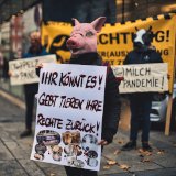 Weniger Masse, gewohnte Entschlossenheit!