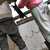Aufgedeckt: Nerze leiden fürchterlich bei der Vergasung