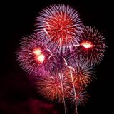 Panik vor dem Silvester-Feuerwerk: wie bringe ich Ruhe in mein Zuhause