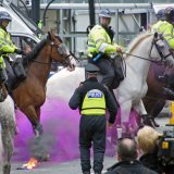 Skandalentscheidung um die Polizeipferde