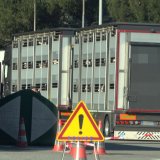 Österreich und EU senken Schutz für Tiere auf Transporten