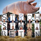 Anlässlich des Vollspaltenboden Schweine-Skandalbetriebs: virtuelle VGT-Demo