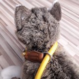 Würgehalsbänder: sinnlose Tierquälerei auf Kosten der Mensch-Hund-Beziehung