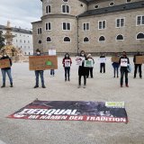 Fiaker statt Taubenhaus? Tierschutzprojekt gestoppt, Tierquälerei fortgesetzt