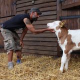 Blindes Kalb Bibi gerettet!