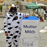 Milch – die gestohlene Babynahrung. Schluss mit den Mythen!