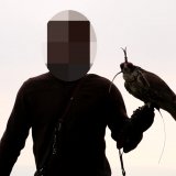 VGT zeigt Adlerwarte Kreuzenstein an