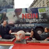 Nach 24 Stunden auf Vollspalten: der Boden ist definitiv nicht physisch angenehm