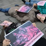 Einladung: Die-In Vollspaltenboden