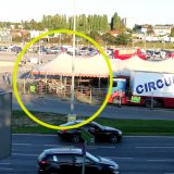 Demo wegen Tierleid: Circus Safari gastiert mitten am Verteilerkreis
