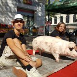 St. Pölten Bahnhofsplatz: Aktion 24 Stunden auf Vollspaltenboden hat begonnen