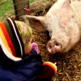 Welttierschutztag: Tierschutz ist wichtiger als je zuvor