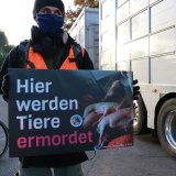 Mahnwache zum Welttierschutztag