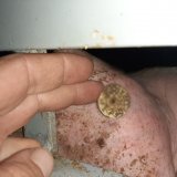 Illegaler Tiertransport: werden deutsche Schweine mit „Herkunft Österreich“ verkauft?
