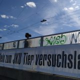 Lockdown für uns, Intensivbetten für Mäuse