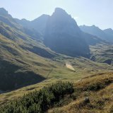 Ausbringung von Gülle auf der Alm übersäuert den Boden: Anzeige