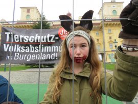 Aktivist:in als verletztes Reh hinter einem Zaun
